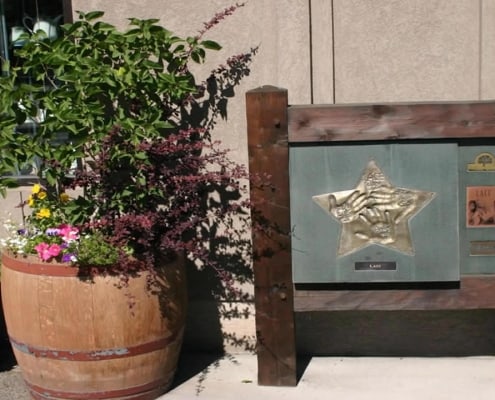 Walk of Stars - Lace Walk of Stars - Lace